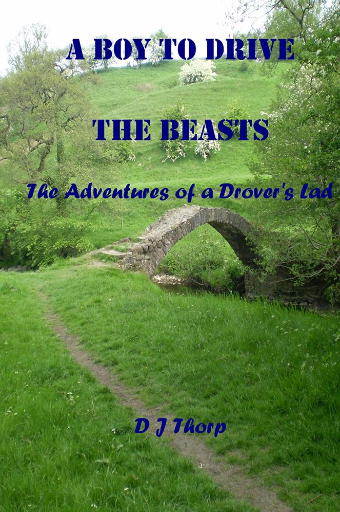 A Boy to Drive the Beasts: The Adventures of a Drover's Lad