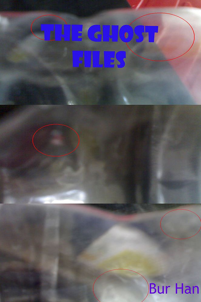 The Ghost Files