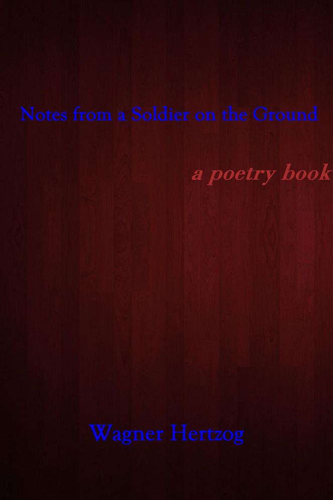 Notes from a Soldier on the Ground: a poetry book