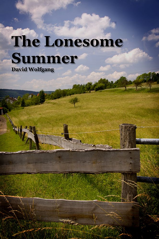 The Lonesome Summer