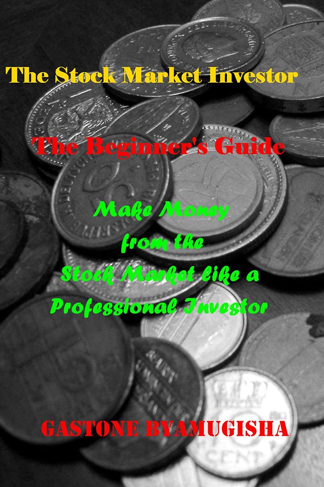 The Stock Market Investor: The Beginner's Guide Make Money from the Stock Market like a Professional Investor