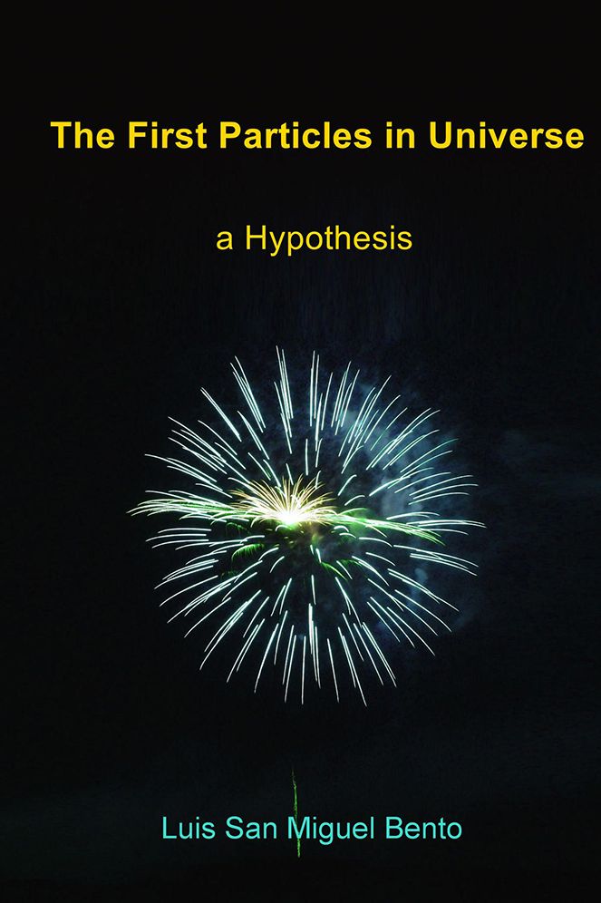 The First Particles in Universe: a Hypothesis