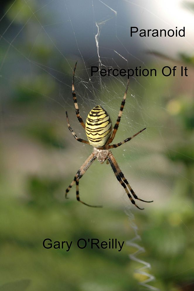 Paranoid: Perception Of It