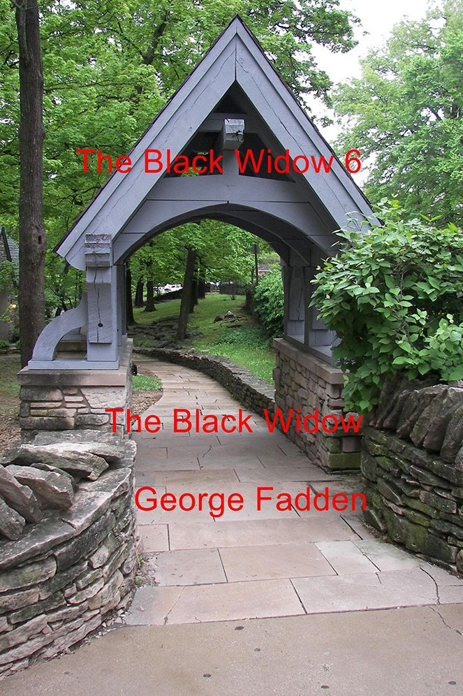 The Black Widow 6: The Black Widow