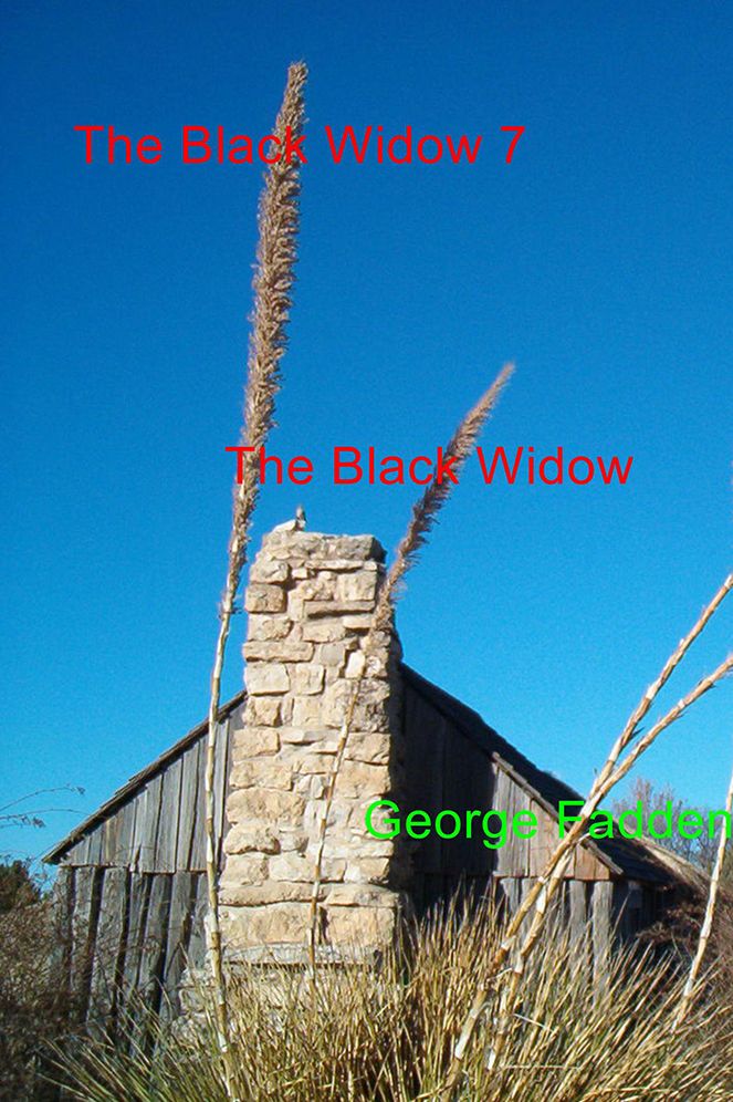The Black Widow 7: The Black Widow