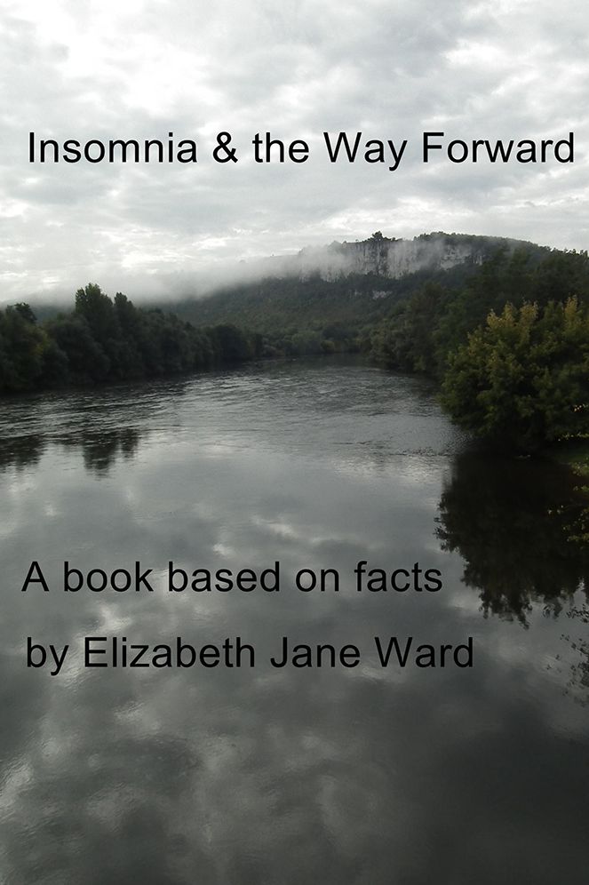 Insomnia & the Way Forward: A book based on facts