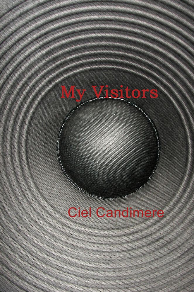 My Visitors