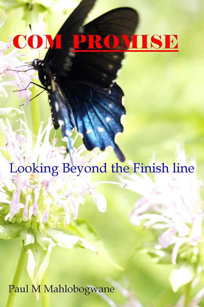 Compromise: Looking Beyond the Finish line
