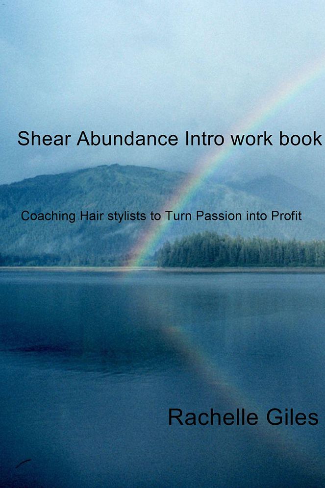 Shear Abundance Intro work book: Coaching Hair stylists to Turn Passion into Profit