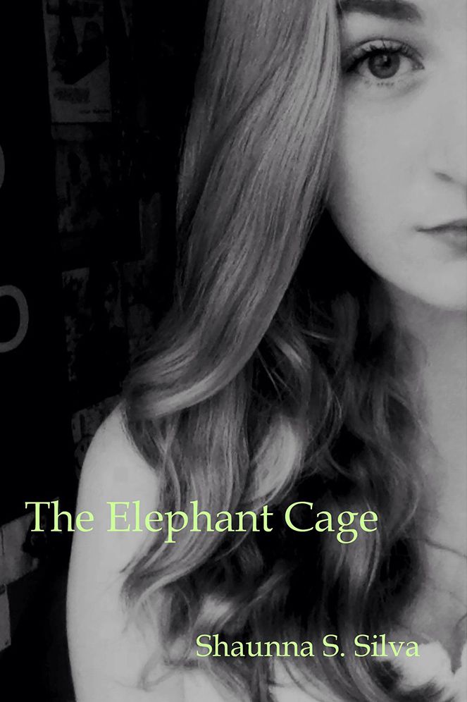 The Elephant Cage