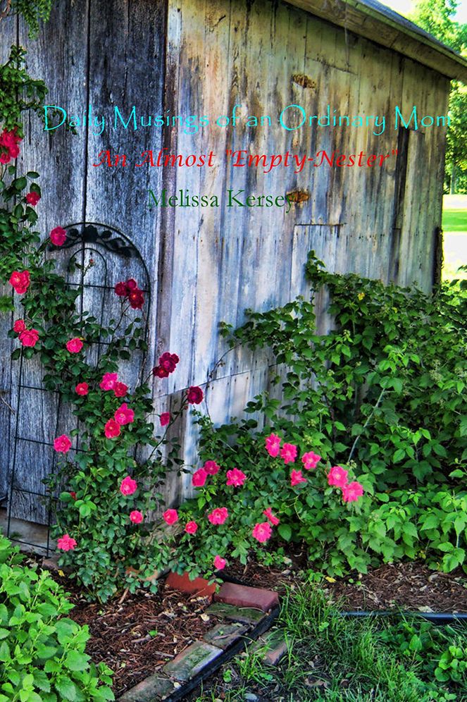 Daily Musings of an Ordinary Mom: An Almost "Empty-Nester"