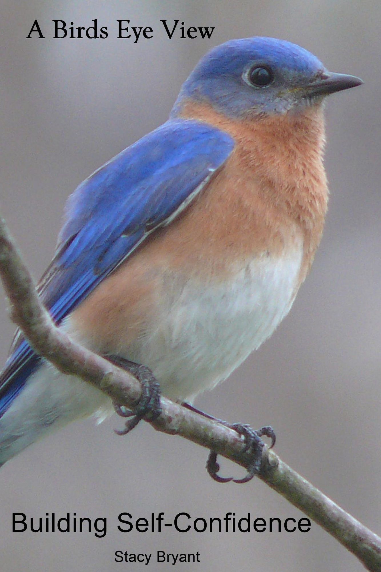 Building Self-Confidence: A Birds Eye View