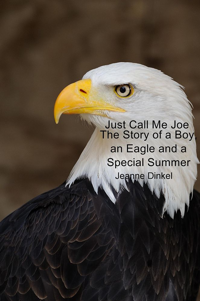 Just Call Me Joe: The Story of a Boy, an Eagle and a Special Summer