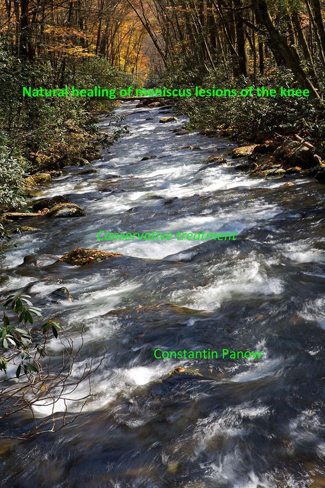 Natural healing of meniscus lesions of the knee: Conservative treatment