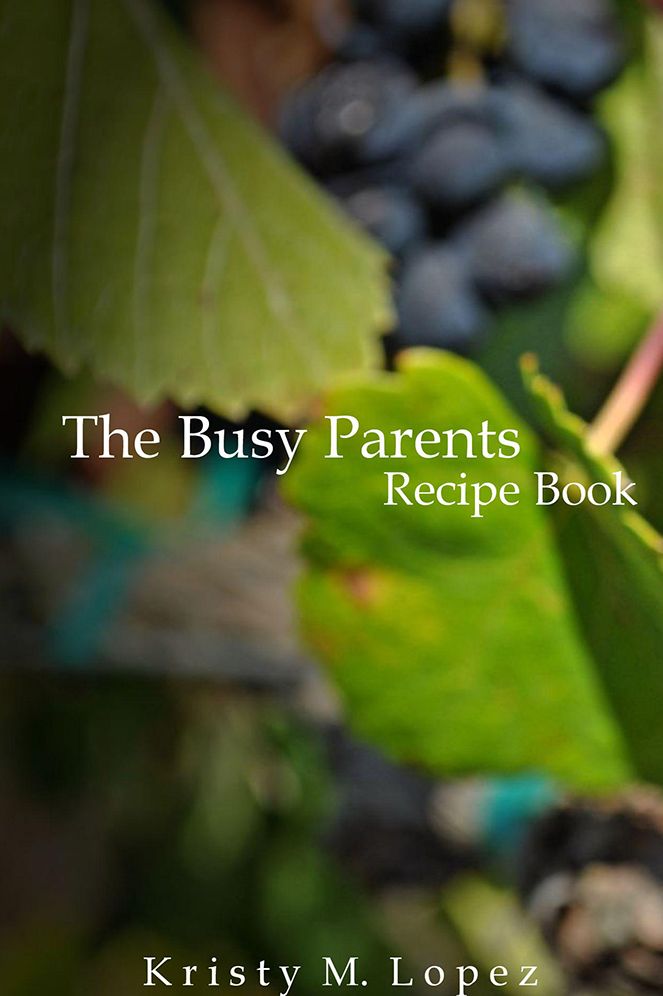 The Busy Parents: Recipe Book