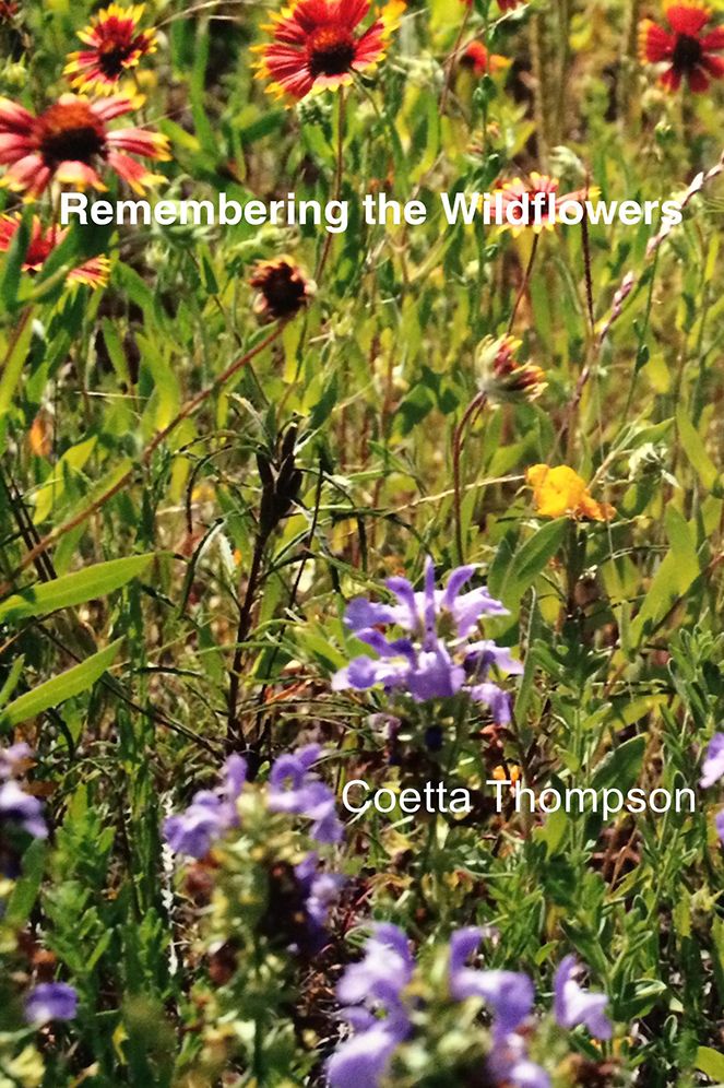 Remembering the Wildflowers