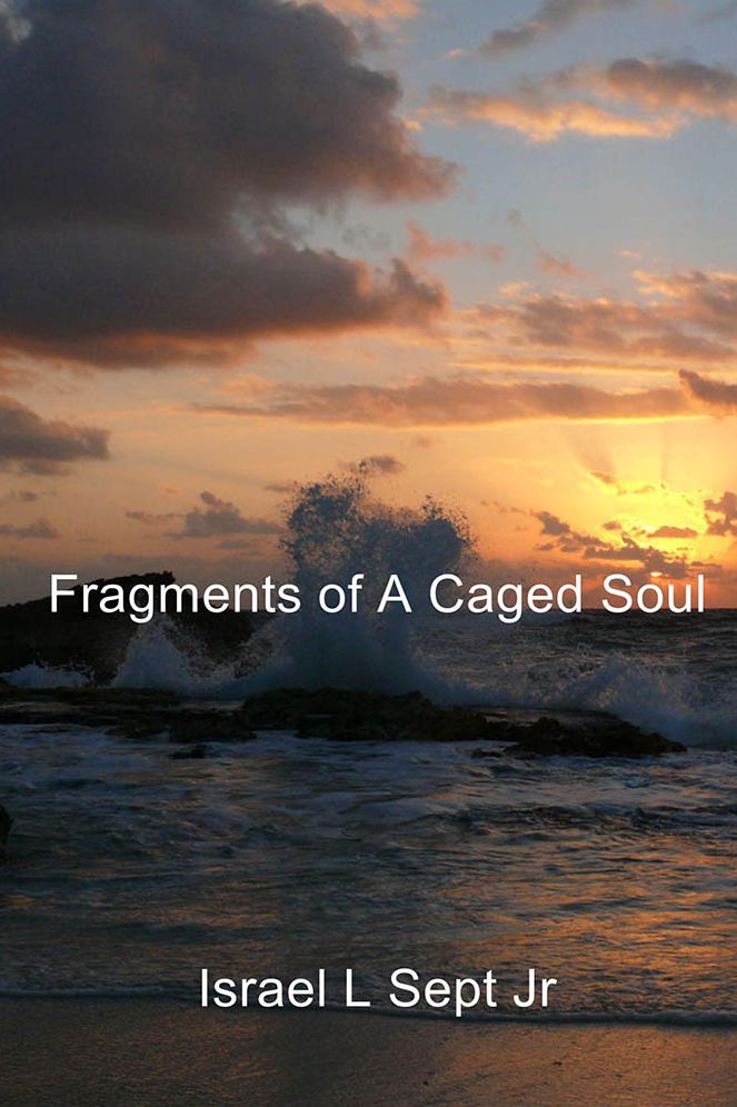 Fragments of A Caged Soul