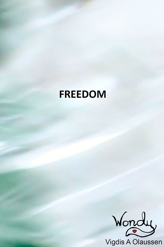 Freedom