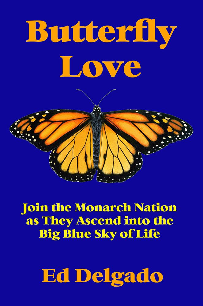 Butterfly Love: Join the Monarch Nation as They Ascend into the Big Blue Sky of Life