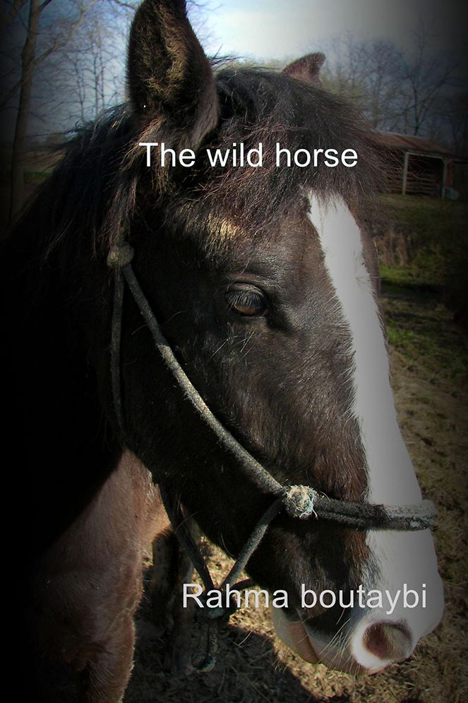The Wild Horse