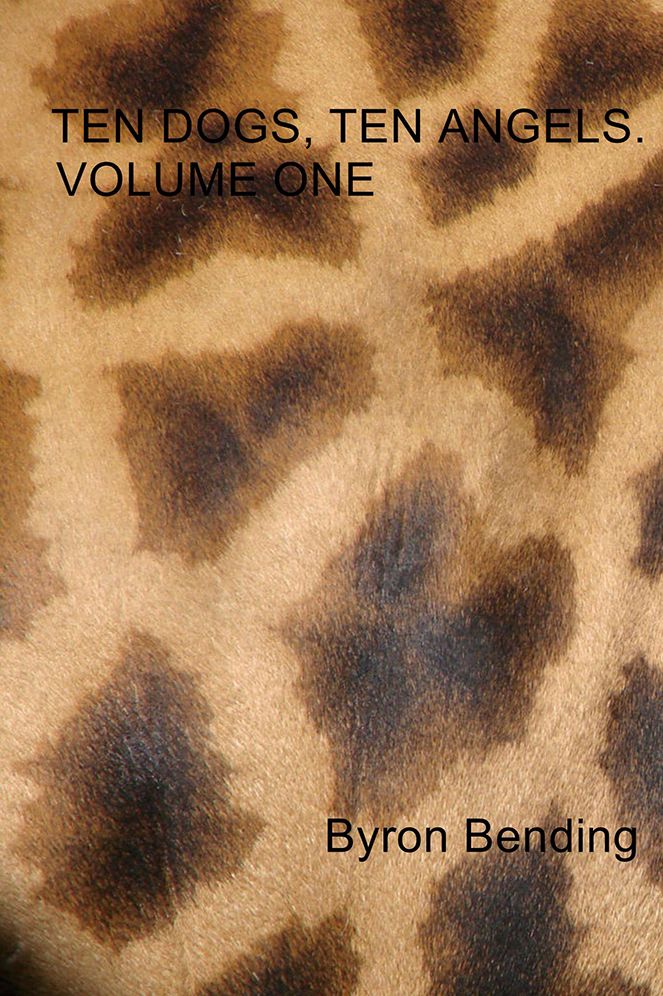 Ten Dogs, Ten Angels: Volume One