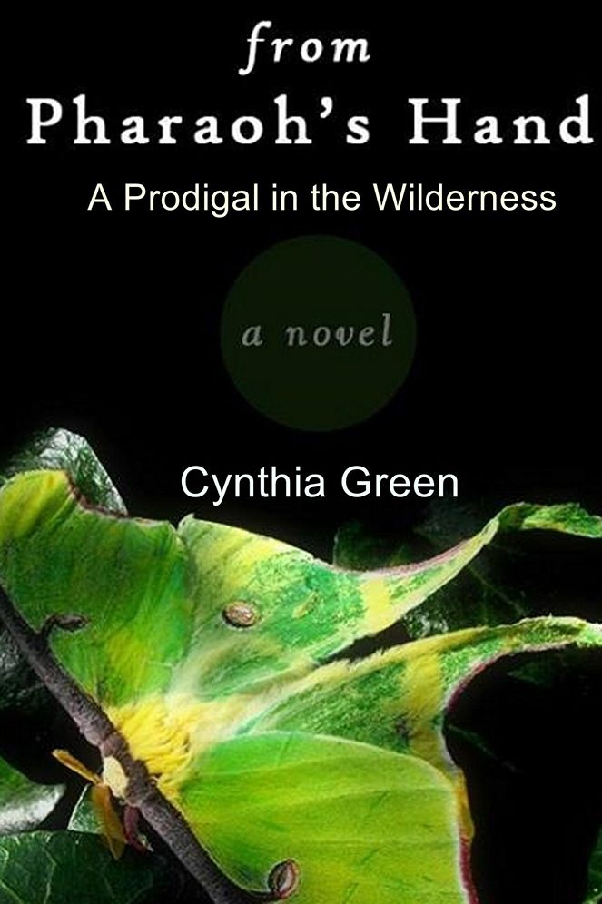 From Pharaoh's Hand: A Prodigal in the Wilderness