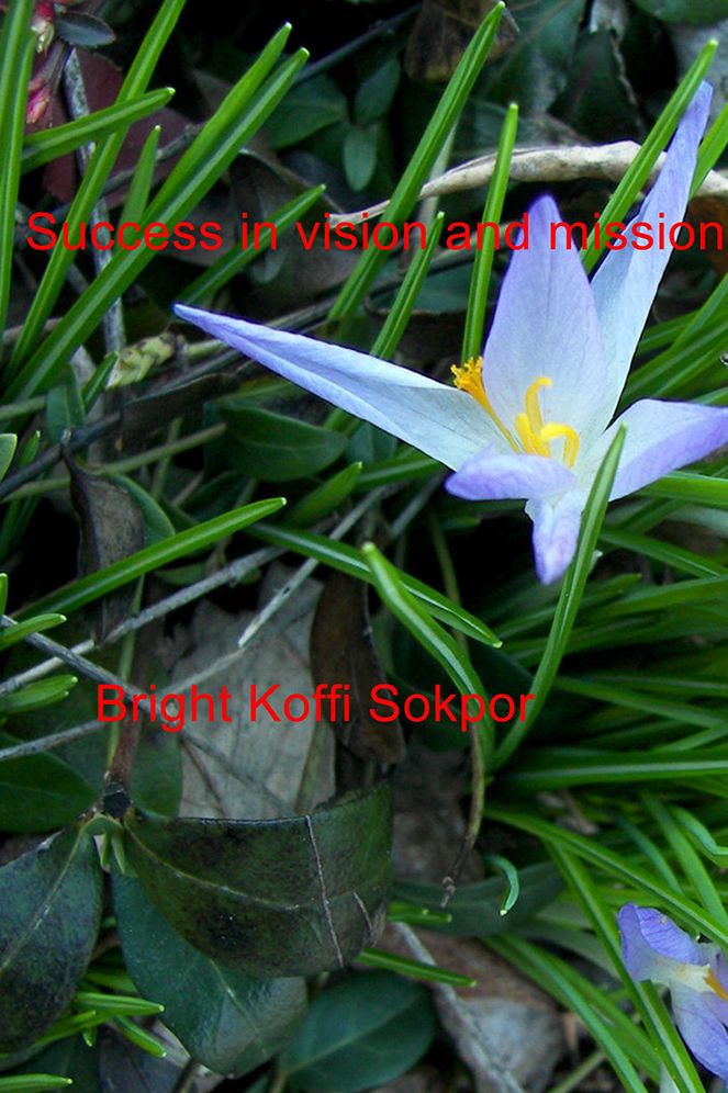 Success in Vision and Mission