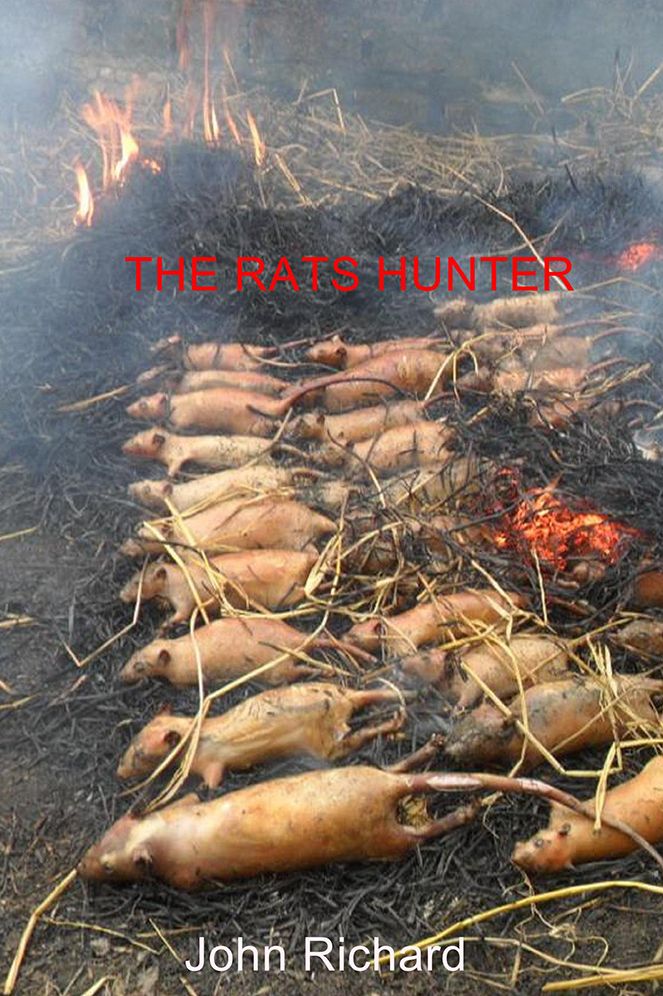 The Rats Hunter