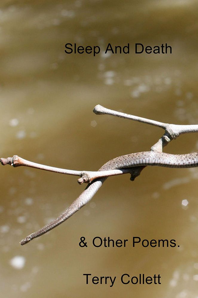 Sleep And Death: & Other Poems.