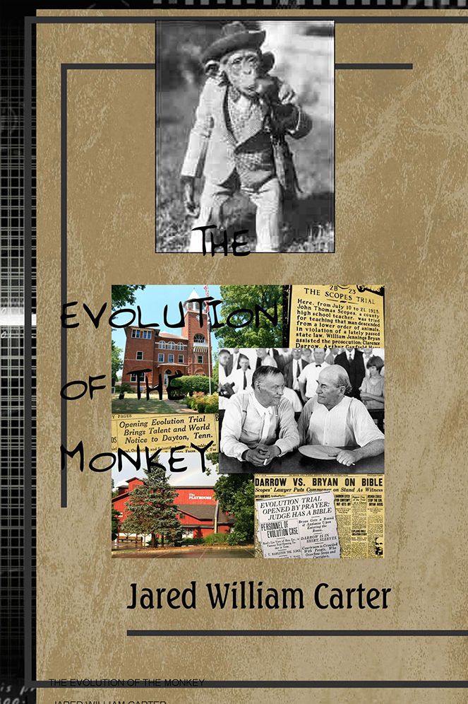 The Evolution of the Monkey