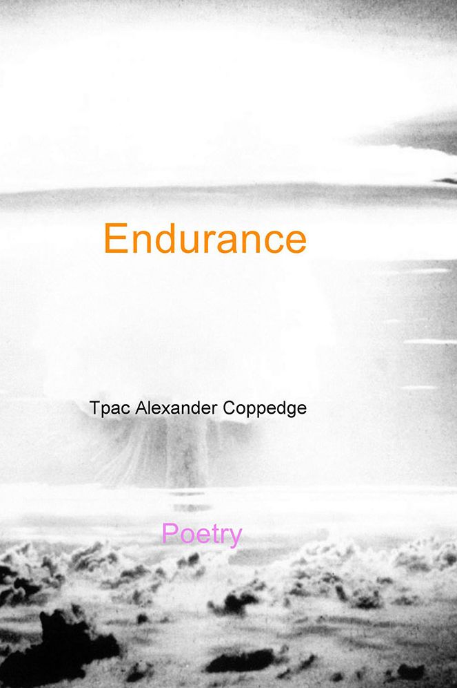 Endurance: Poetry