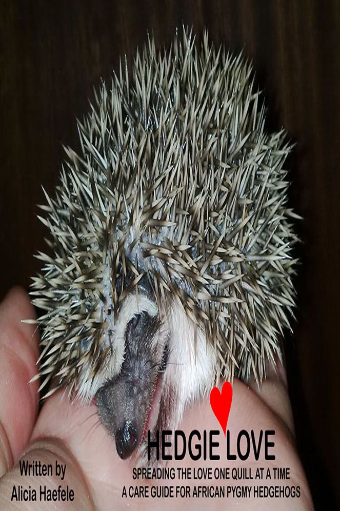 Hedgie Love: Spreading the love one quill at a time - A care guide for African Pygmy Hedgehogs
