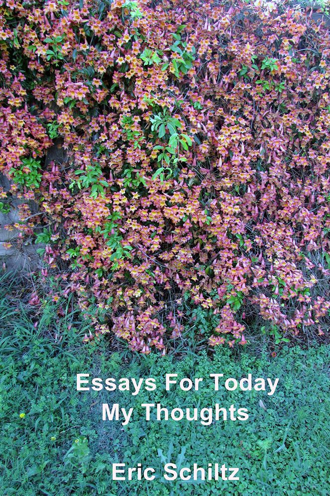 Essays For Today: My Thoughts