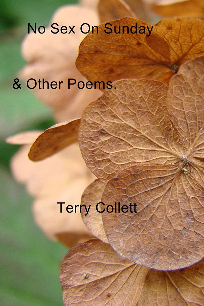 No Sex On Sunday: & Other Poems.
