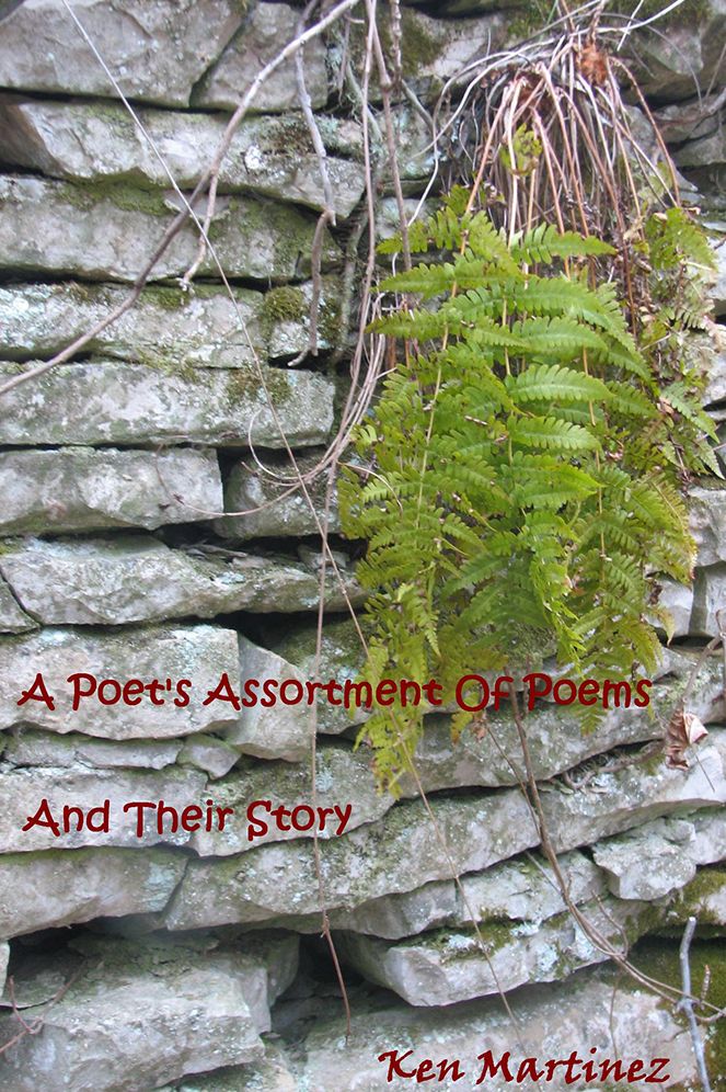 A Poet's Assortment Of Poems: And Their Story
