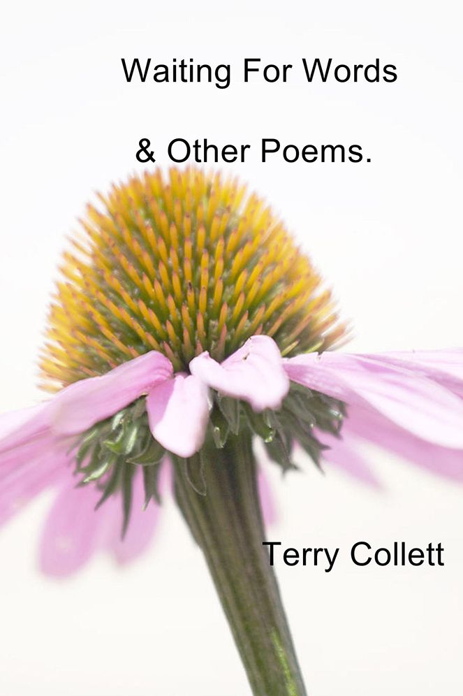 Waiting For Words: & Other Poems.