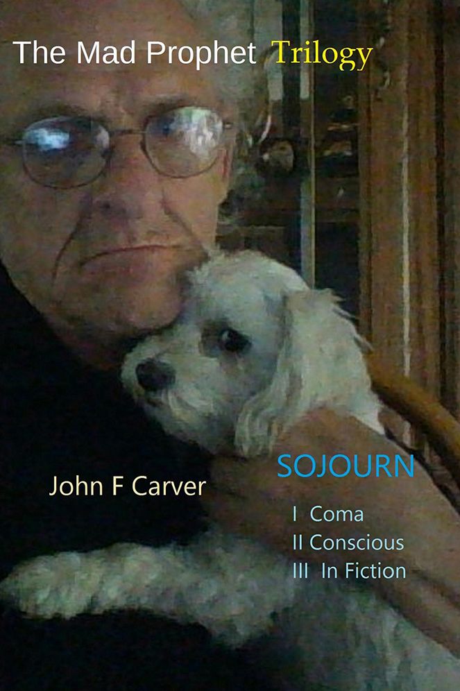 The Mad Prophet Series: Sojourn