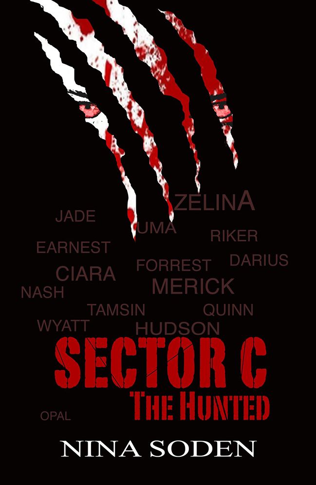 Sector C ~ The Hunted: (book 2)