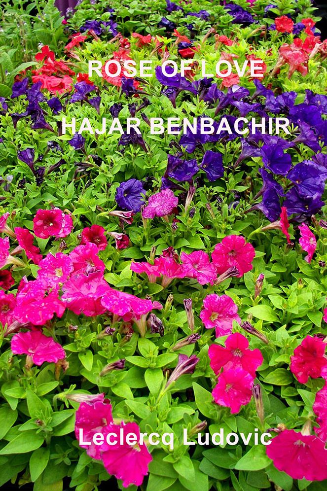 Rose of Love Hajar Benbachir