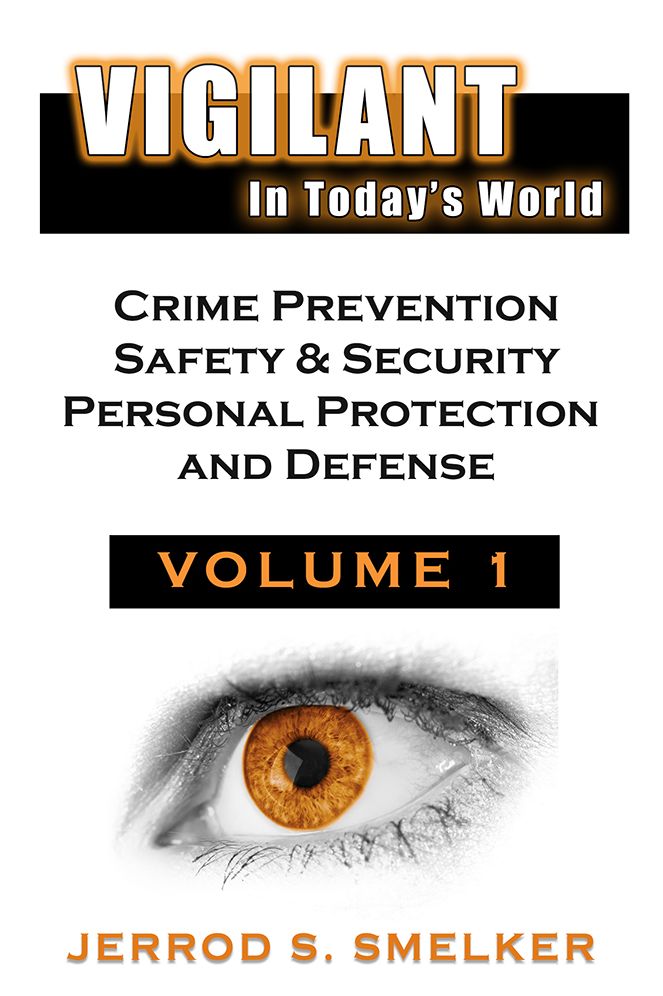 Vigilant In Today's World: Volume 1
