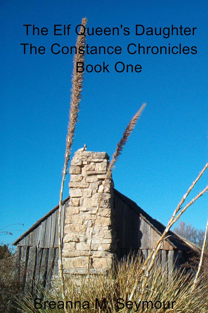 The Elf Queen's Daughter: The Constance Chronicles Book One