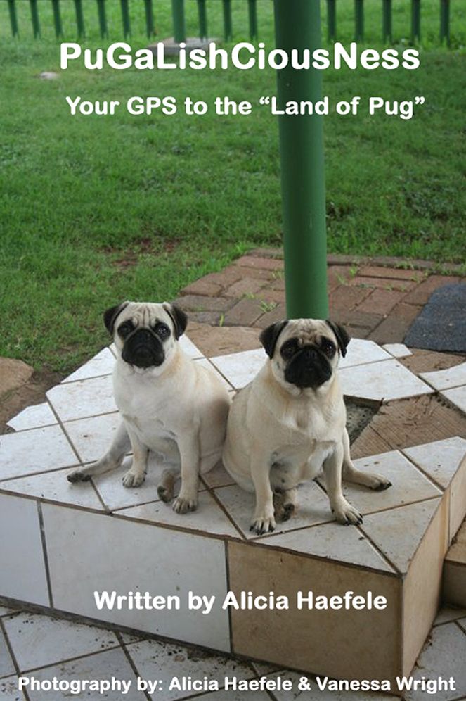 Pugalishciousness: Your GPS to the Land of Pug
