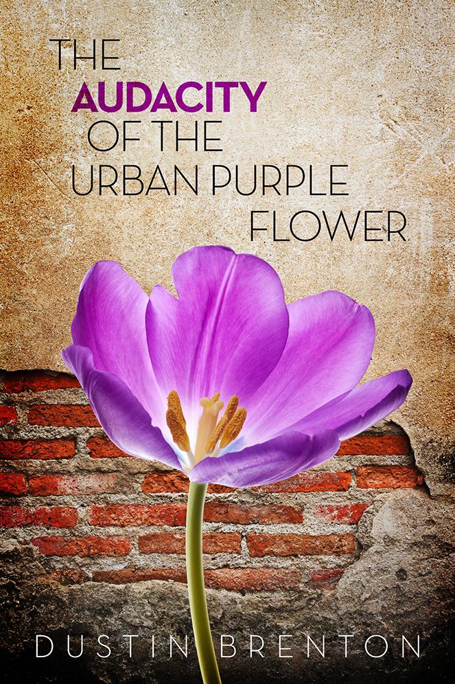 The Audacity of the Urban Purple Flower
