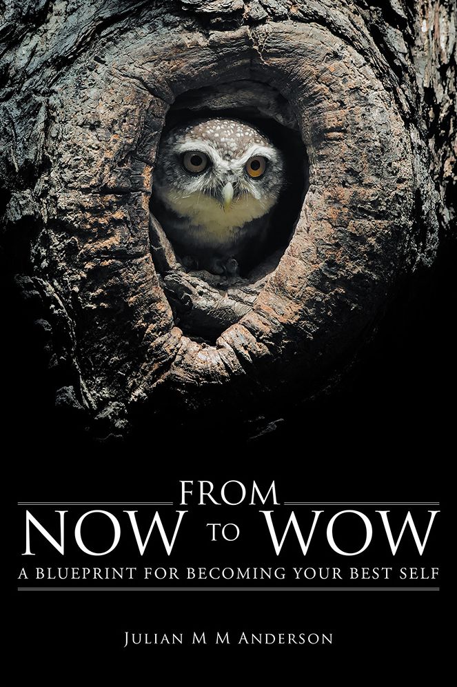 From Now to Wow: A Blueprint for Becoming Your Best Self