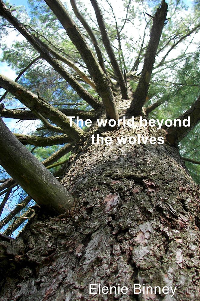 The World Beyond the Wolves