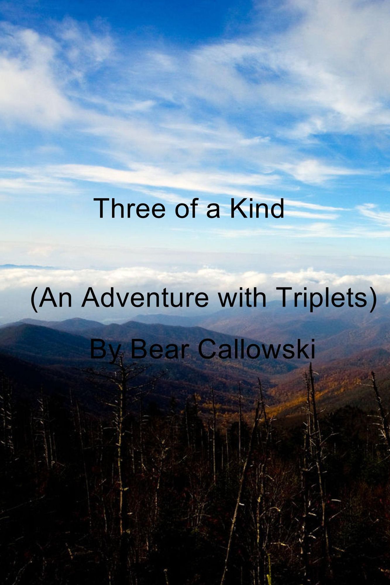 Three of a Kind: (An Adventure with Triplets)