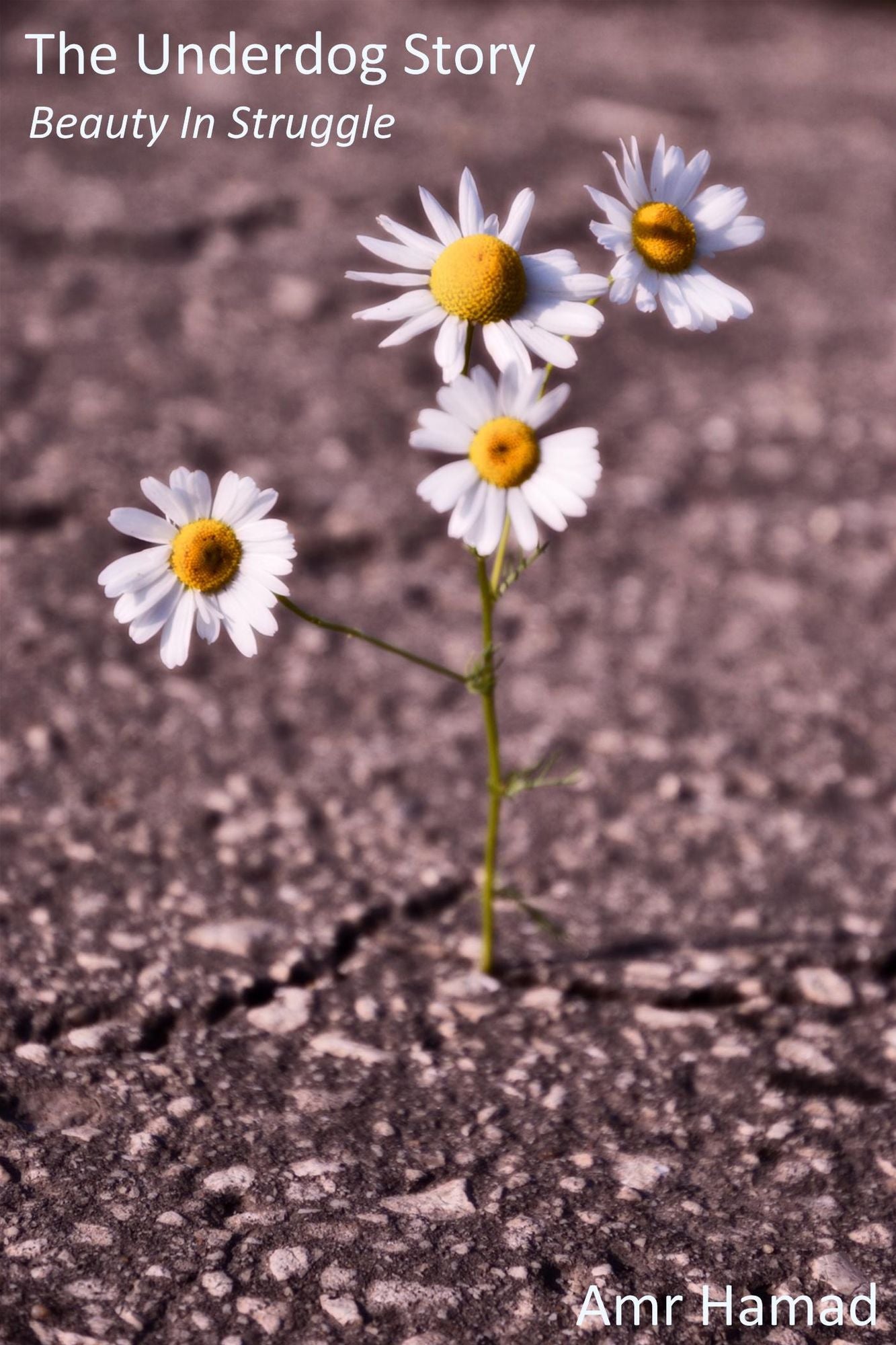 The Underdog Story: Beauty in Struggle