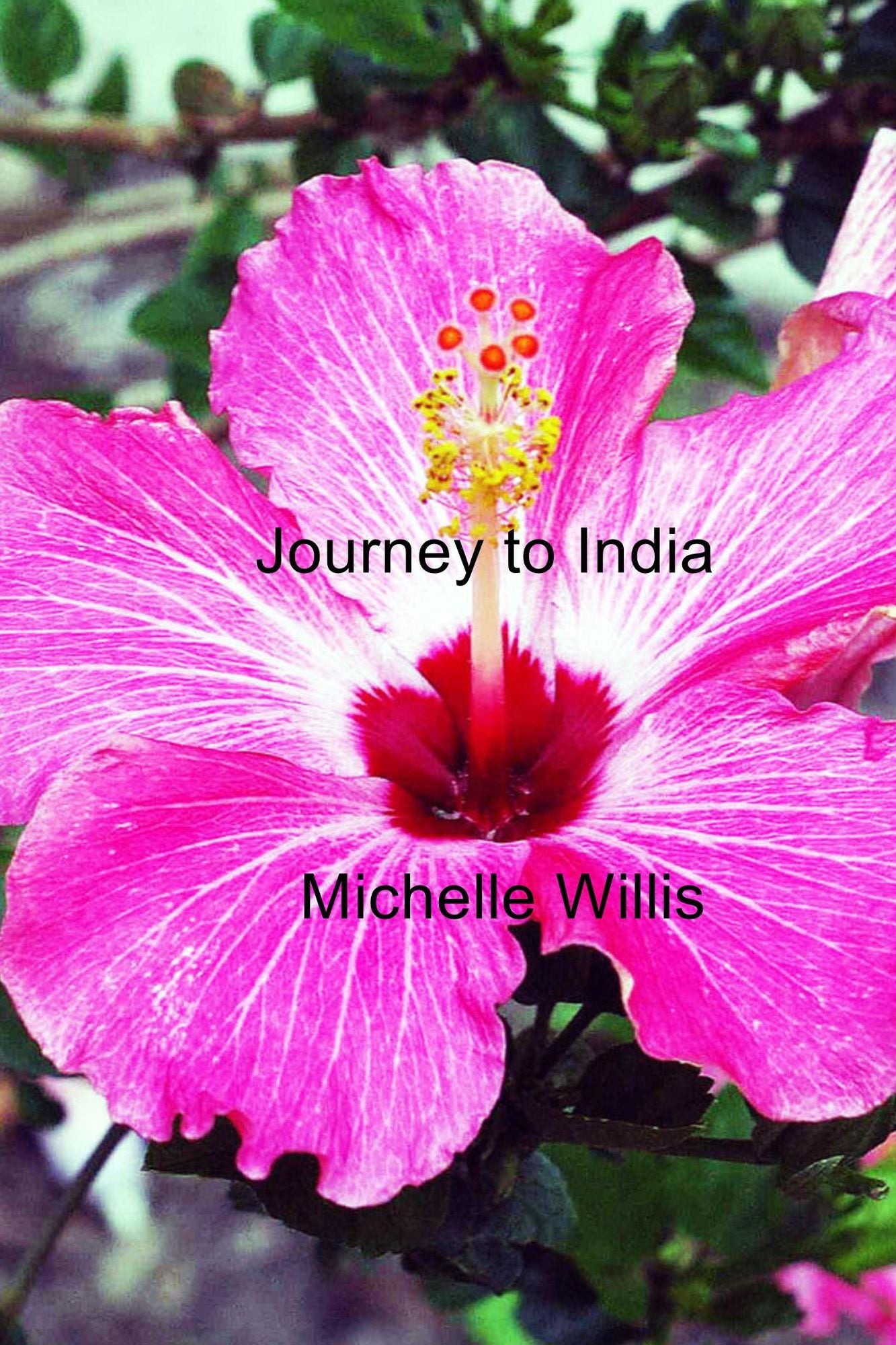 Journey to India