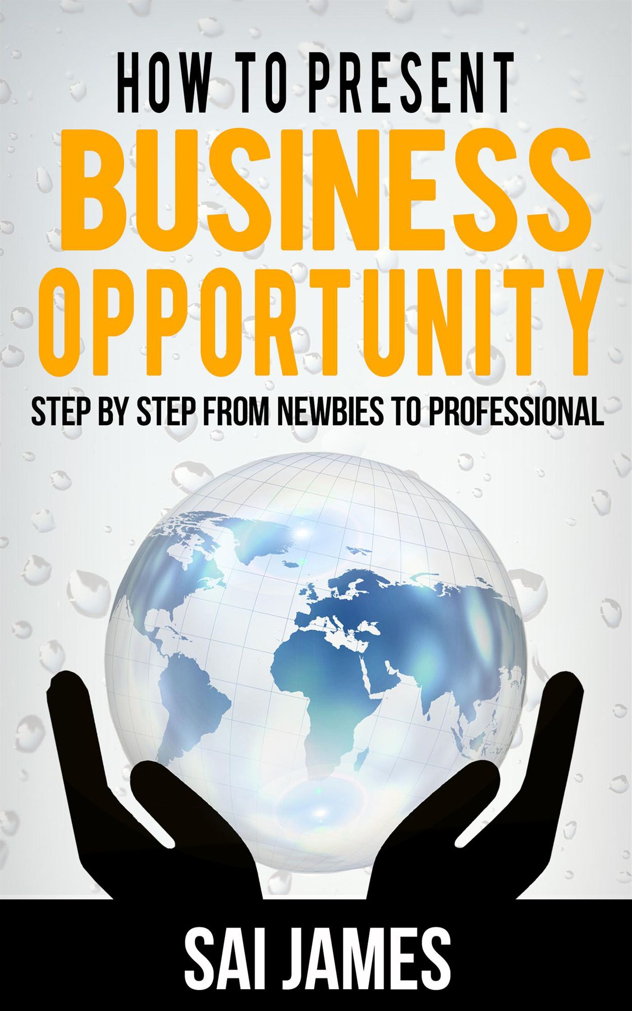 How to Present Business Opportunity: Step by Step from Newbies to Professional