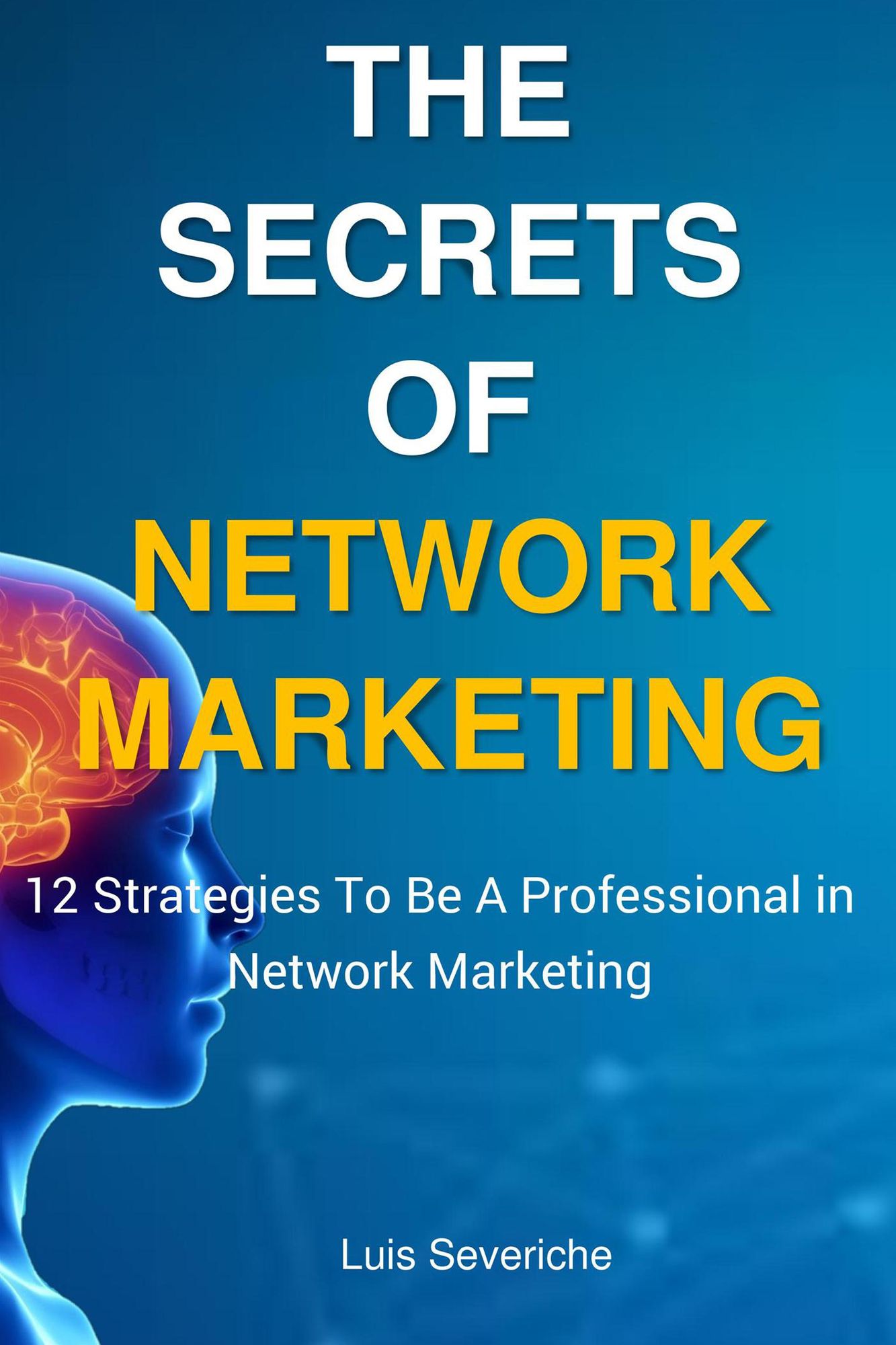The Secrets of Network Marketing: 12 Strategies to Be a Professional in Network Marketing